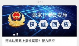 河北视频爆料最新消息,揭秘XX事件背后真相